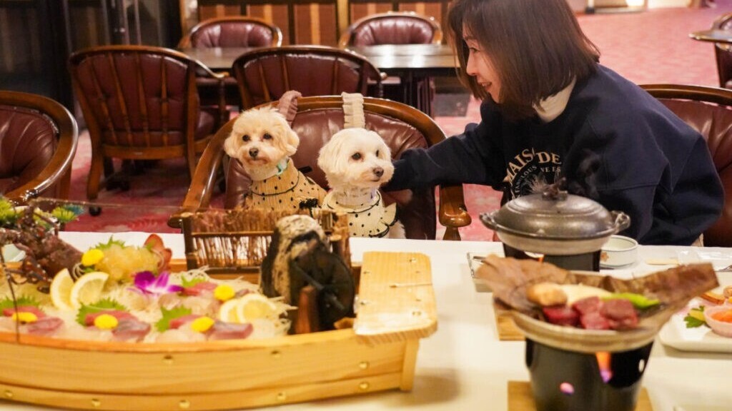 愛犬同伴OKの食事会場