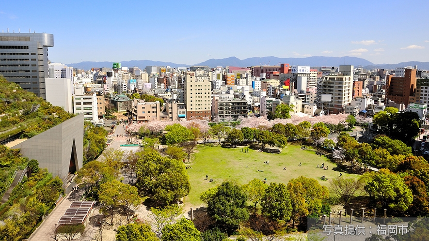 天神中央公園