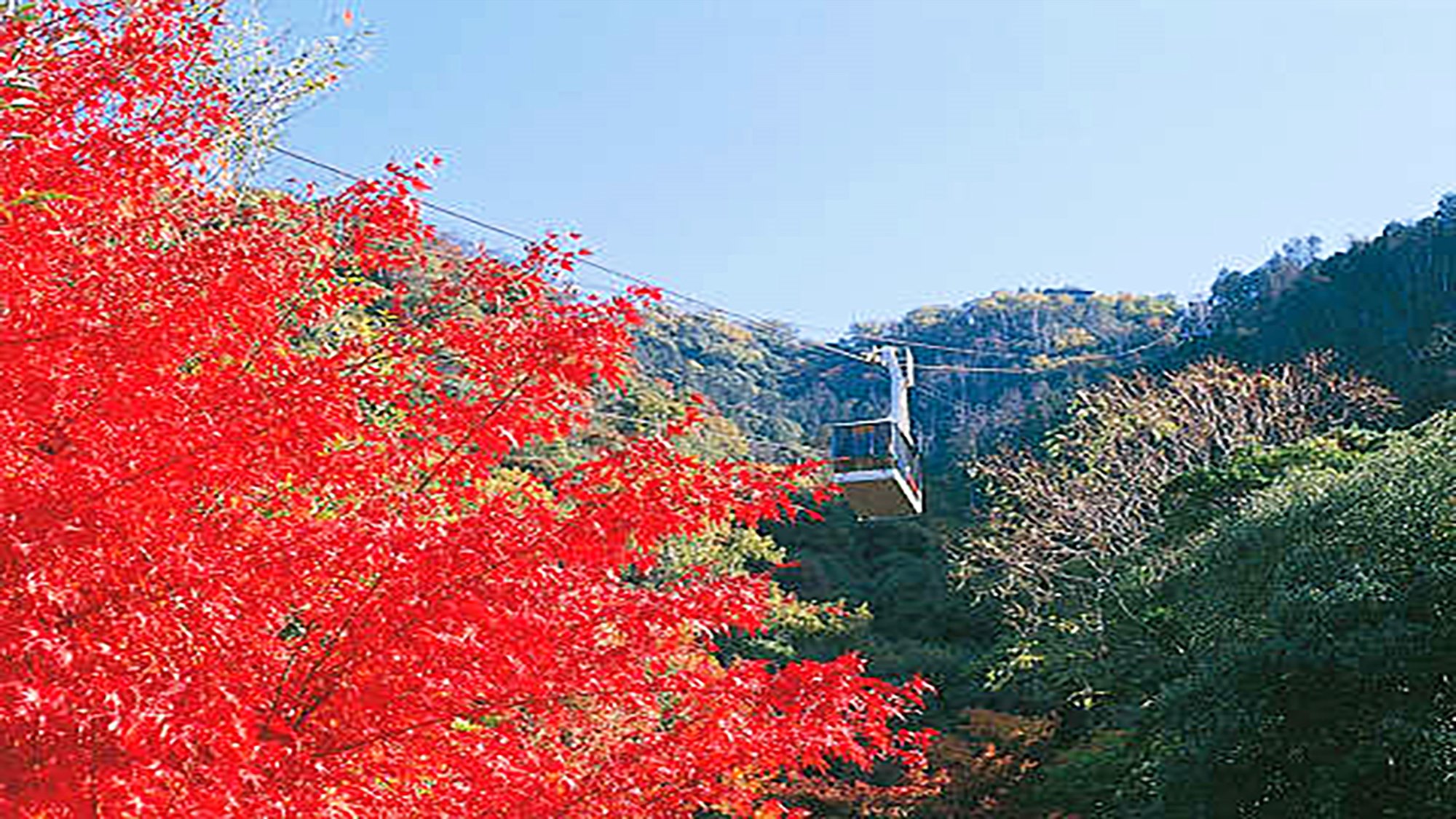 【金華山ロープウェイ】岐阜公園と山頂を3分で結ぶ、四季の自然美を楽しめます。