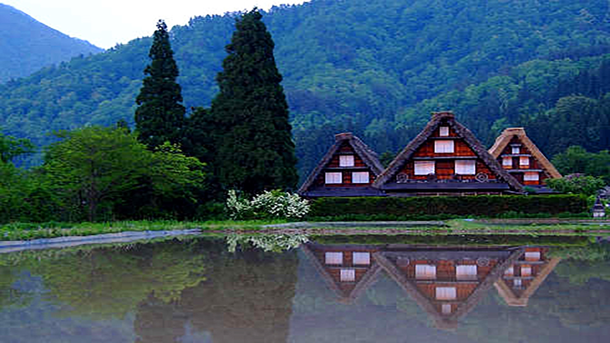 【白川郷（春）】『岐阜県 白川村』 世界遺産 白川郷合掌集落、周辺お薦め観光スポットです。