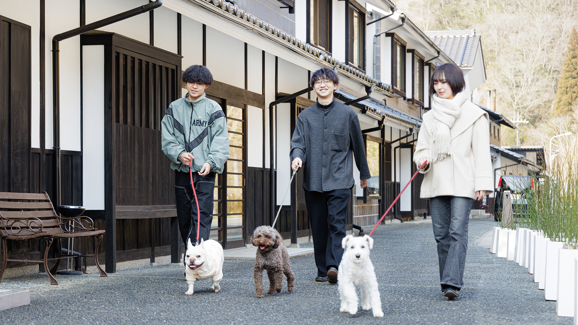 施設前での犬の散歩風景