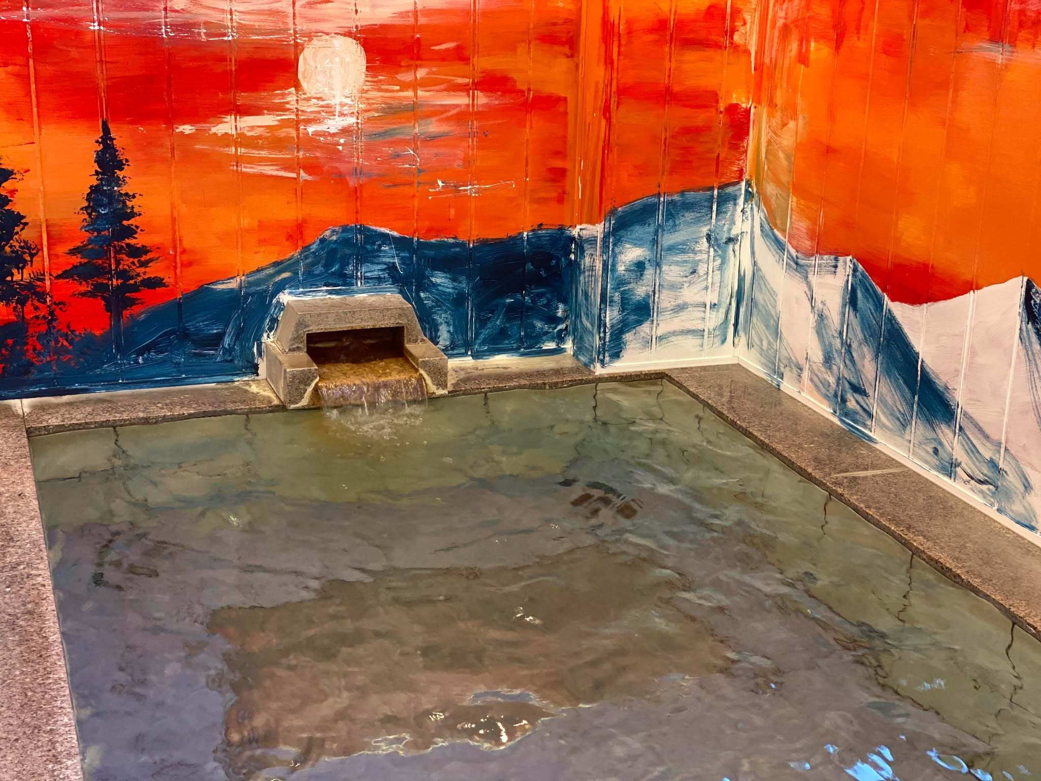 【4月限定★春スキー】志賀高原をシーズン最後まで遊びつくす！夜はボリューム満点日替わり定食＜2食付＞