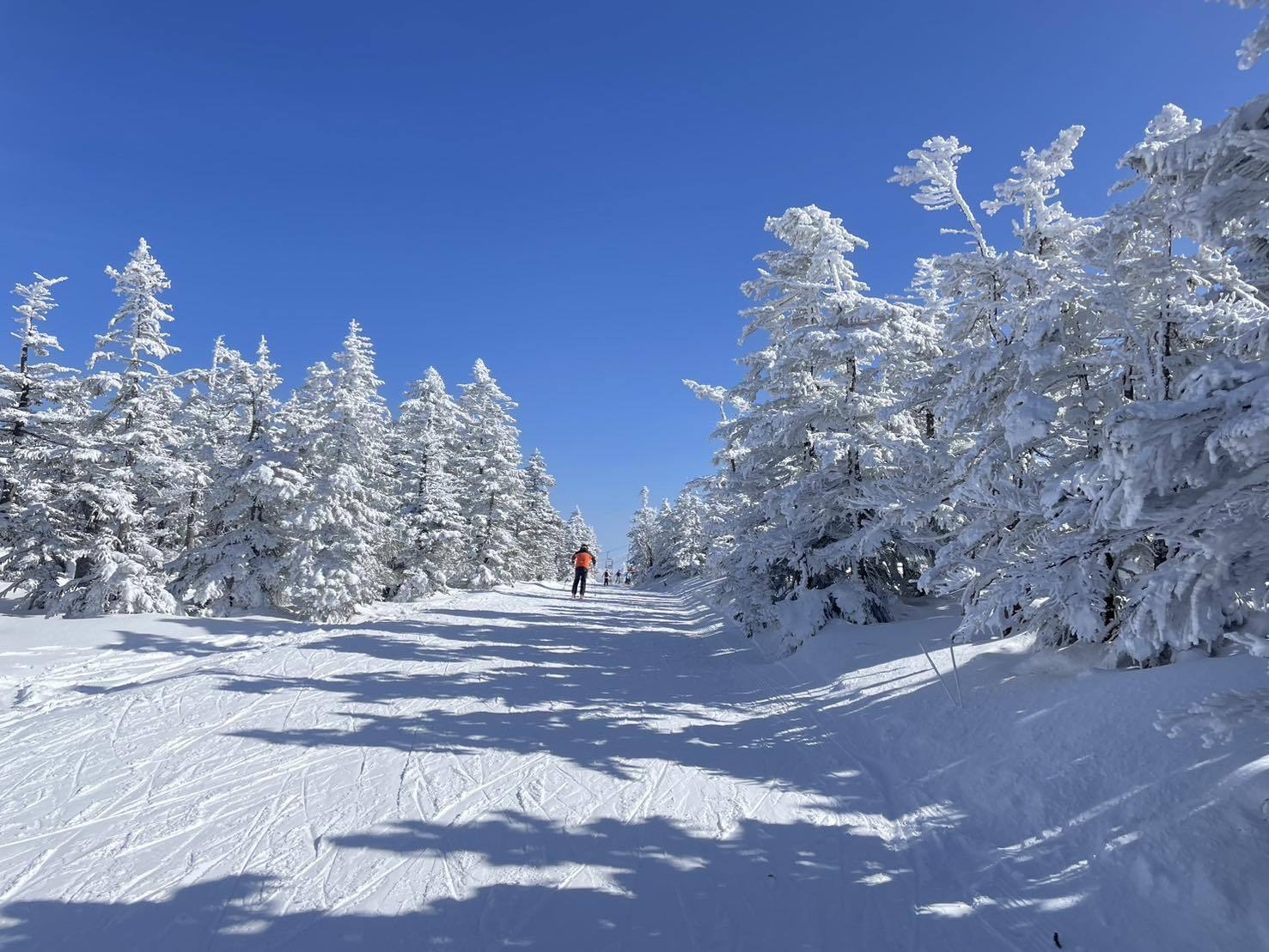当日予約可！おひとりさまも大歓迎★シェアキッチンで自炊もOK！シンプルステイ＜素泊まり＞