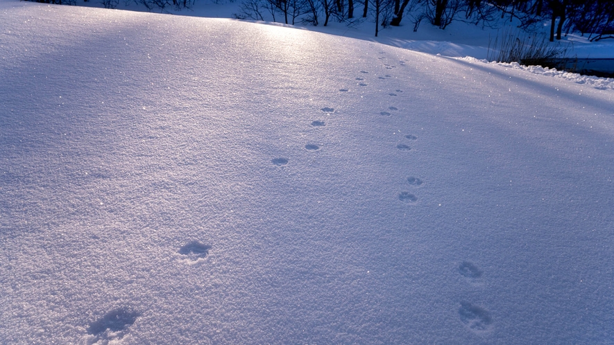 ・【その他】冬の白銀の世界。雪遊びも楽しめます♪