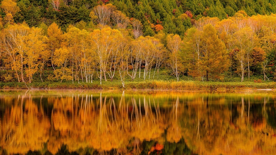 ・湖面に映る鮮やかな紅葉はSNS映えもばっちり！