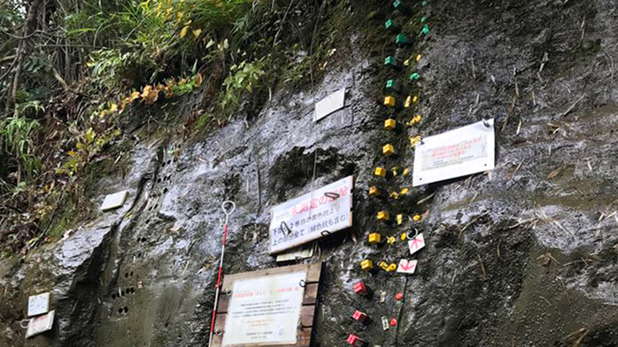 ・【チバニアン】国の天然記念物「養老川流域田淵の地磁気逆転地層」はチバニアンという名称がついています