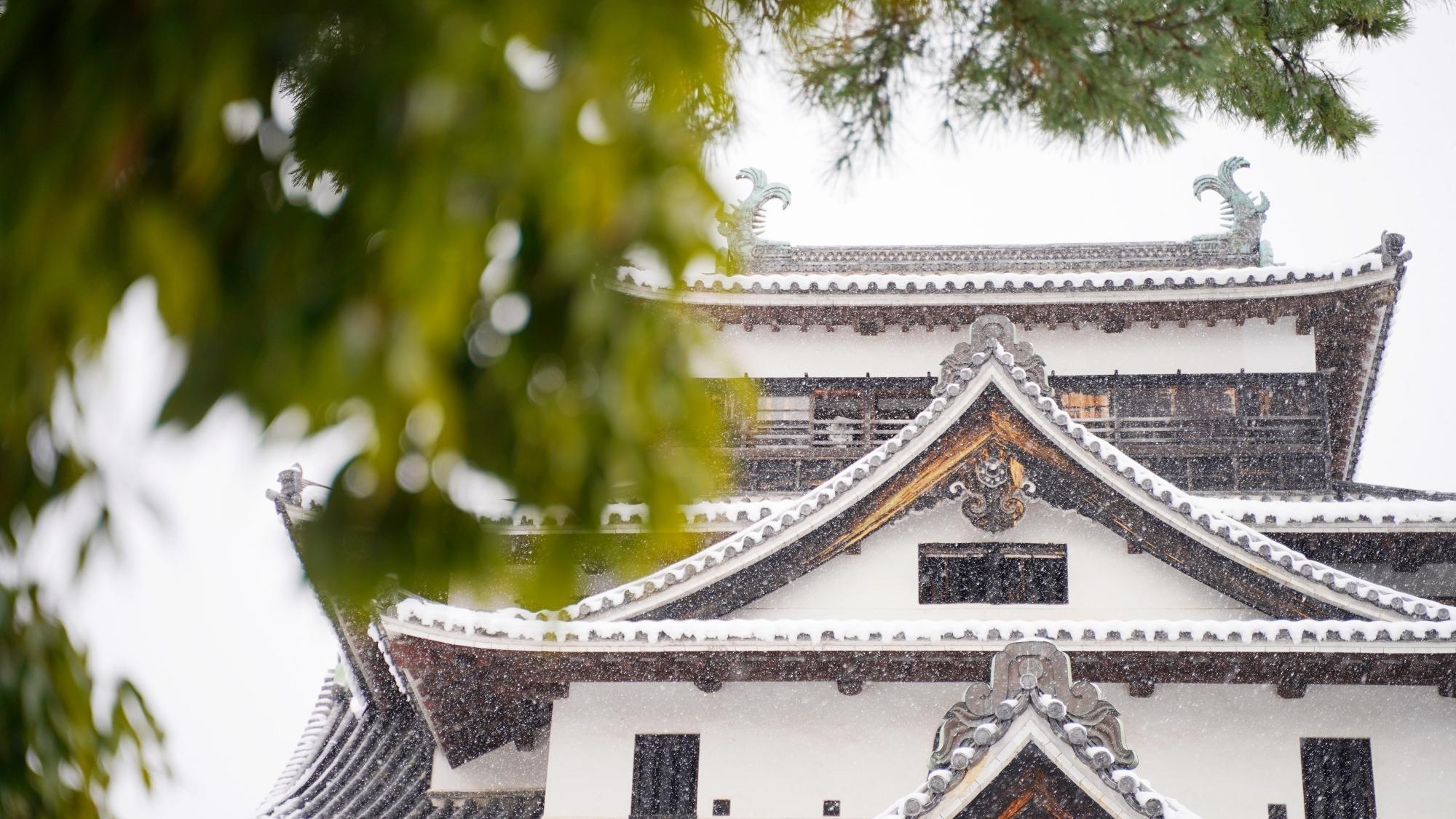 【宍道湖産しじみ汁＆松江城・遊覧船チケット付】話題のドラマは松江が舞台！松江城ほか聖地を巡る旅〇2食