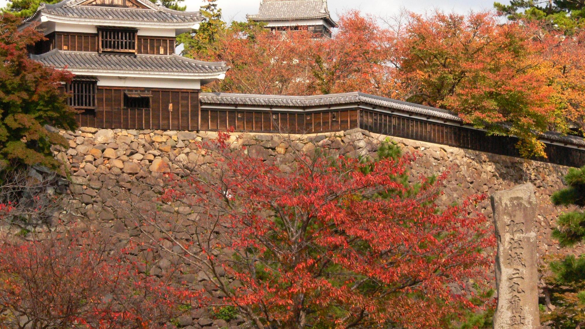 【松江城】秋の紅葉と松江城。