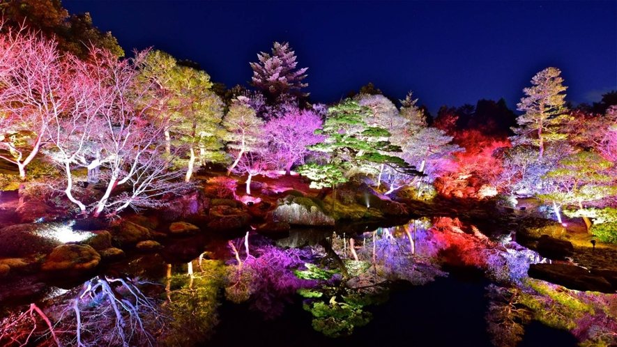 【由志園】日中とは全く異なり幻想的な風景が楽しめる期間限定のイルミネーションイベントが人気です。