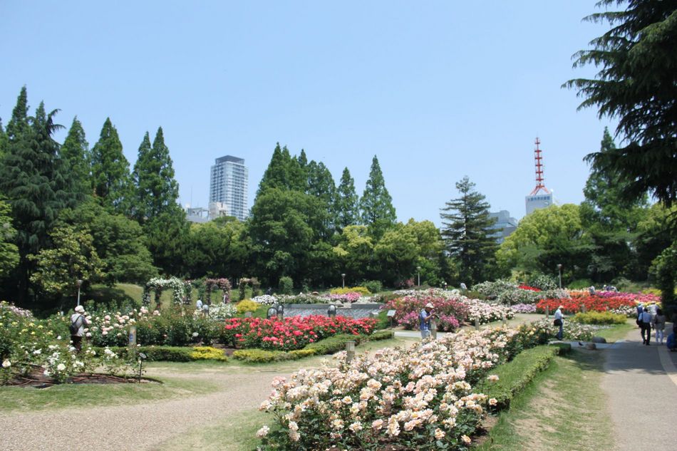 ホテルサンライフ＜大阪府＞ - 写真 48
