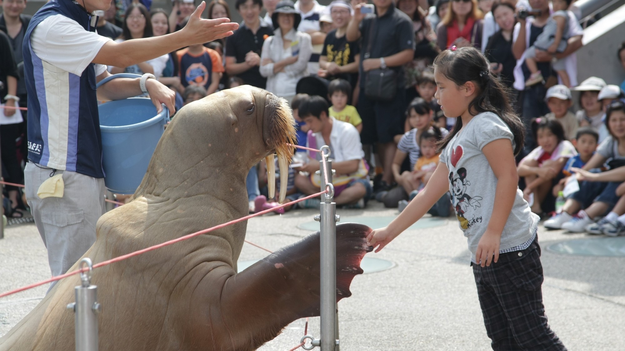 【春夏SALE】水族館「うみたまご」入場券＆オールインクルーシブステイ＜夕朝食＞