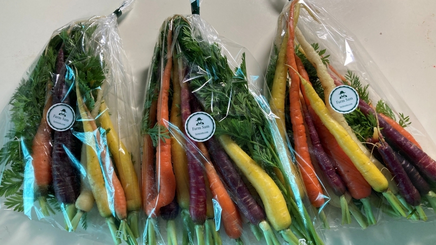 【お子様半額】別府湾リゾートで楽しむ収穫の休日 〜Farm Samの旬野菜＆特製手土産付〜