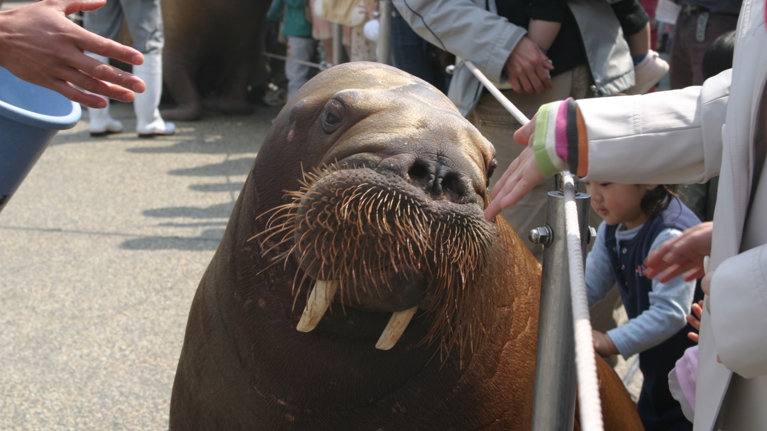 水族館「うみたまご」