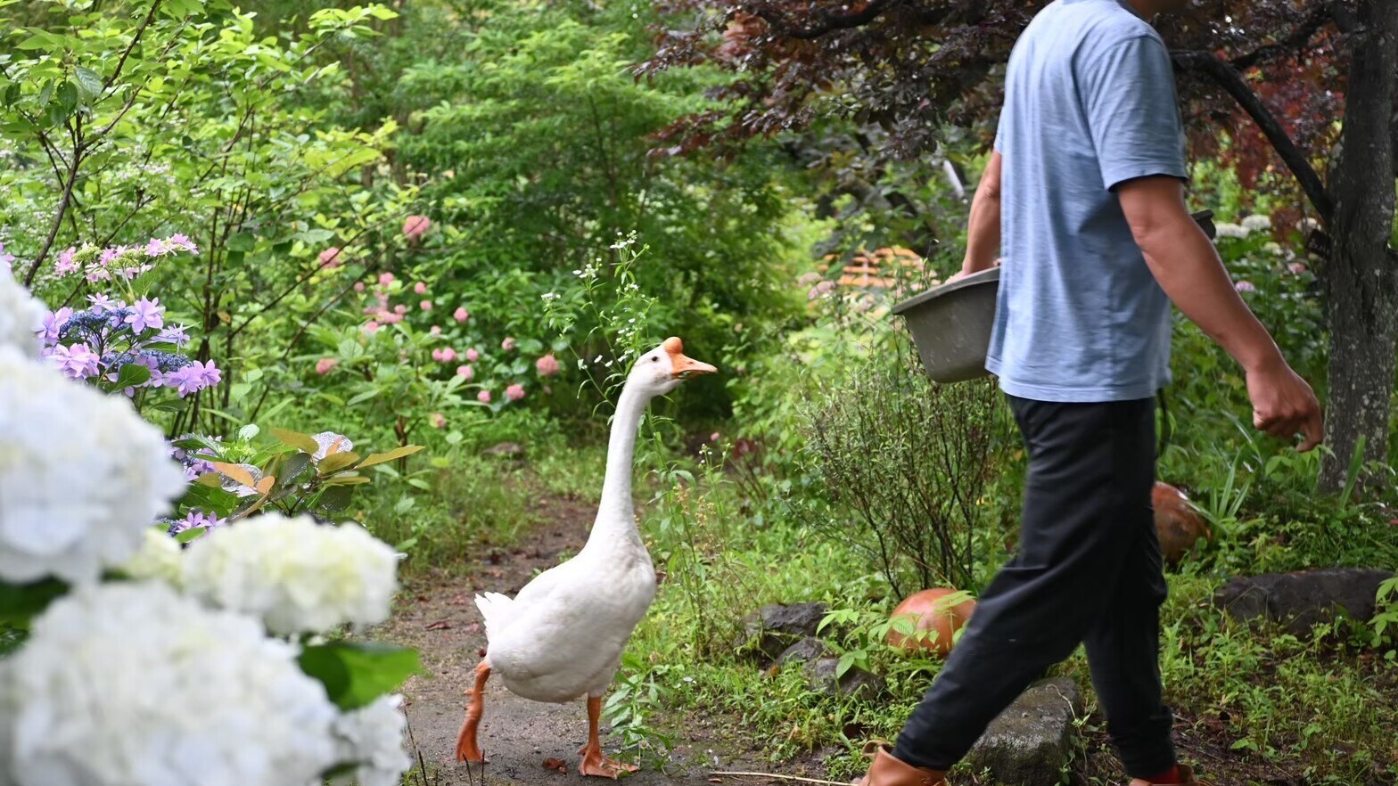 【お子様30％OFF】大神ファーム入場券×ガーデナーとの散策を満喫！オールインクルーシブ・夕朝食付