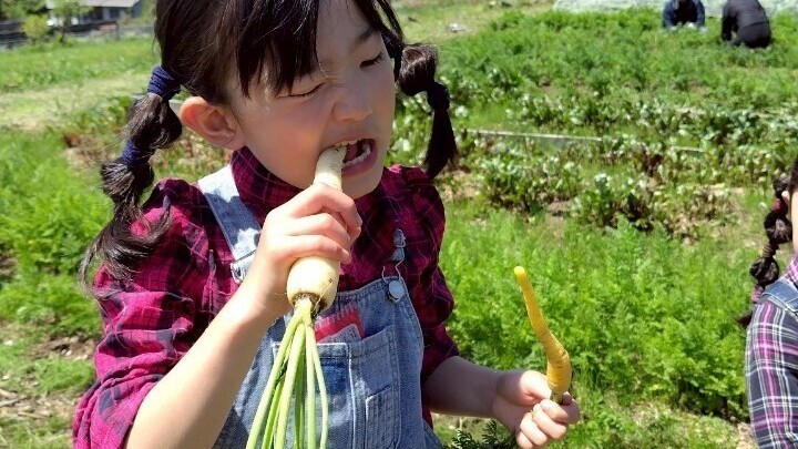 ■収穫体験（お車で約20分）