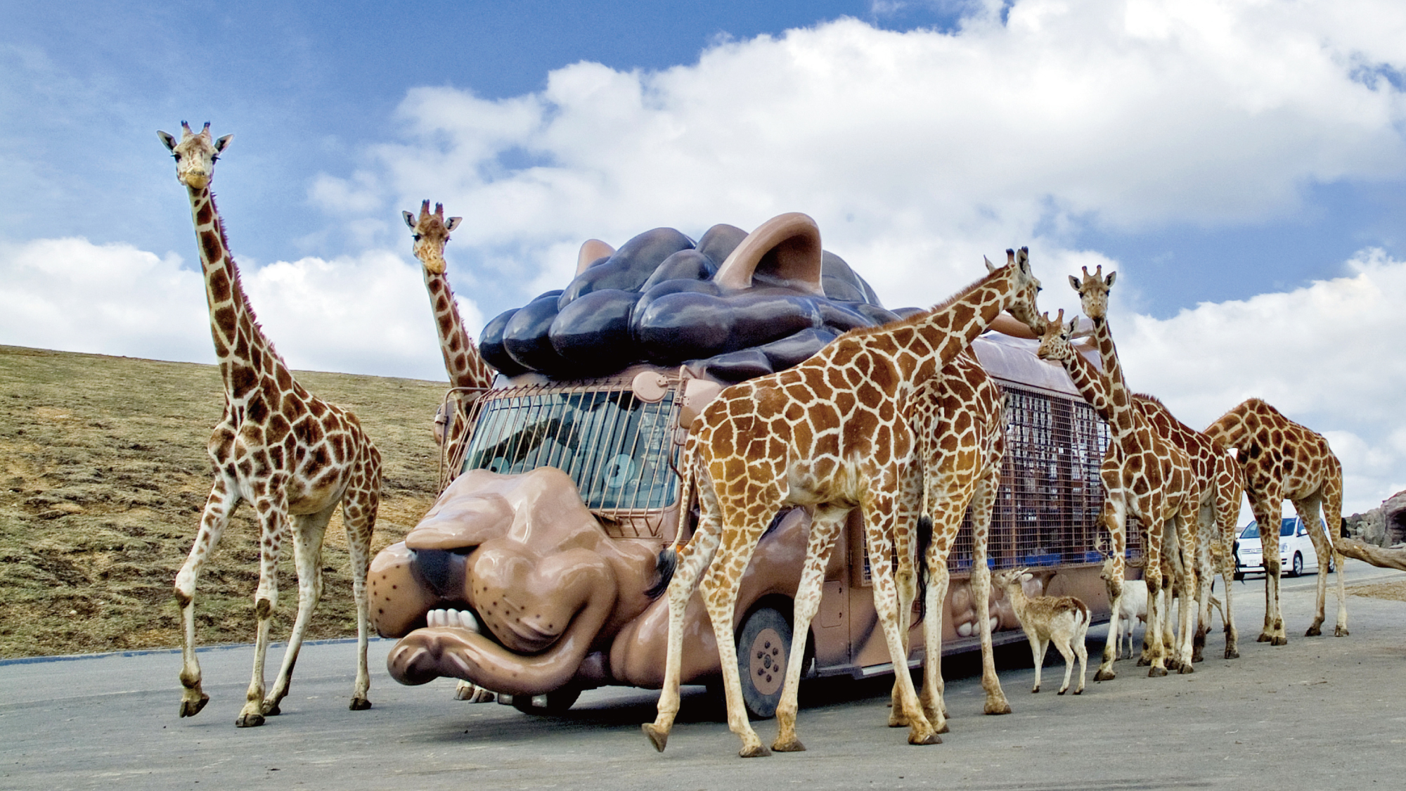 【アフリカンサファリ】広大な安心院高原にある自然動物園