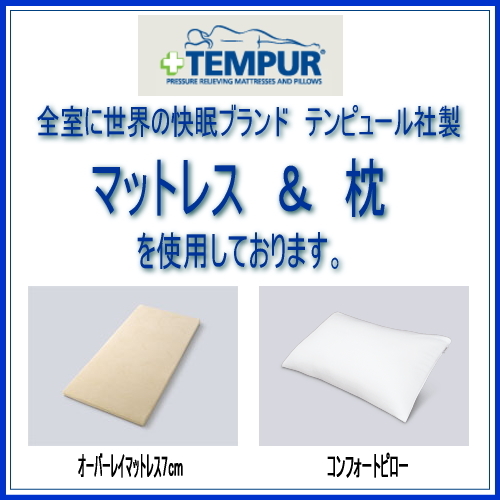 素泊まりプラン★サウナ＆炭酸泉付大浴場完備★テンピュール社製マットレスで心地よい快眠を♪駐車料金無料