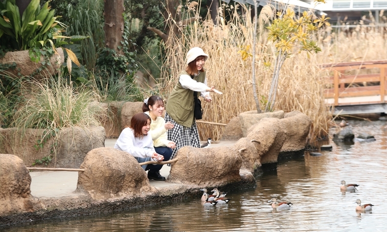 【神戸どうぶつ王国】子供から大人まで！花と動物と人とのふれあいテーマパーク★入園券・朝食付きプラン