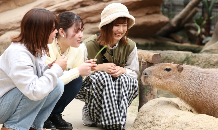 【神戸どうぶつ王国】子供から大人まで！花と動物と人とのふれあいテーマパーク★入園券・朝食付きプラン