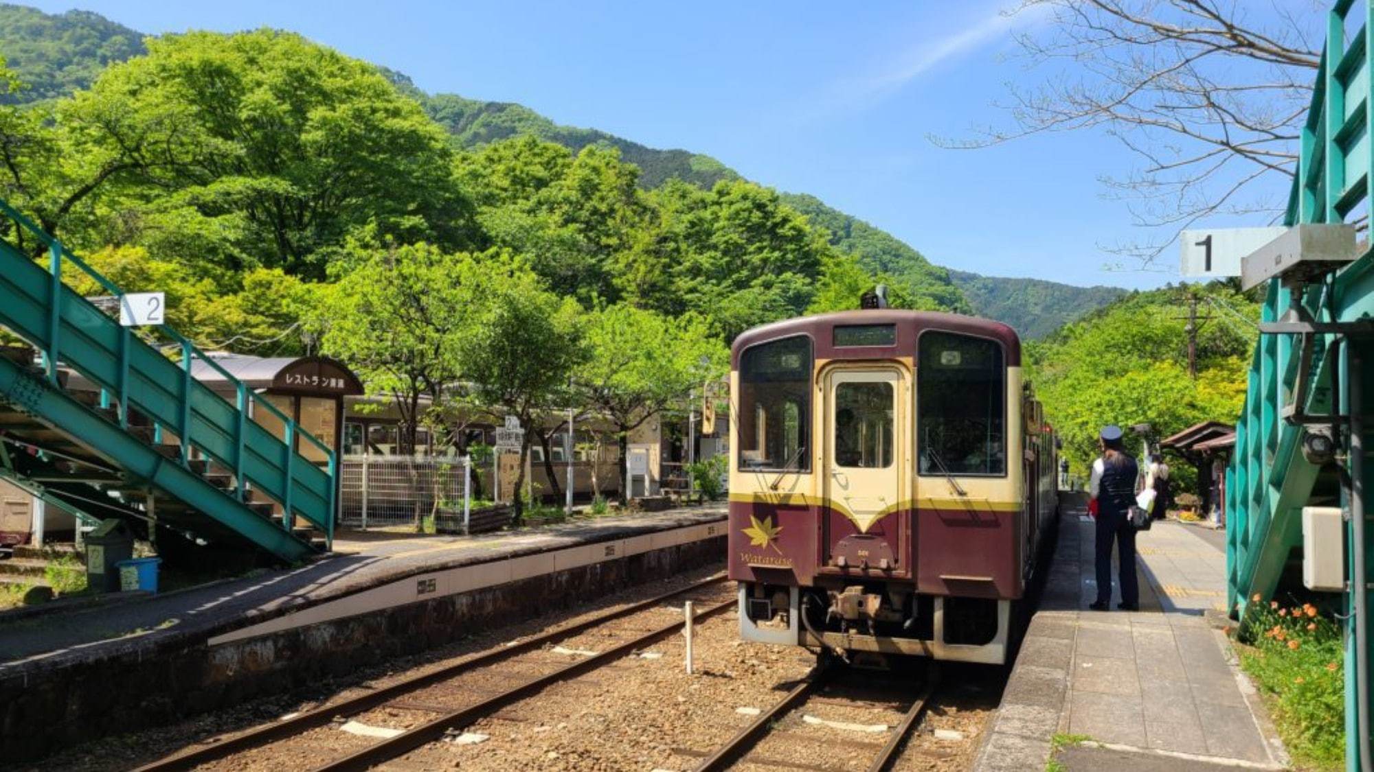 ☆わたらせ渓谷鉄道1日フリーパス券付（ご出発日乗車）プラン☆駐車場無料＆VOD無料