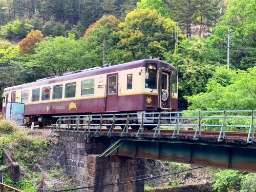 ☆わたらせ渓谷鉄道1日フリーパス券付（ご出発日乗車）プラン☆駐車場無料＆VOD無料