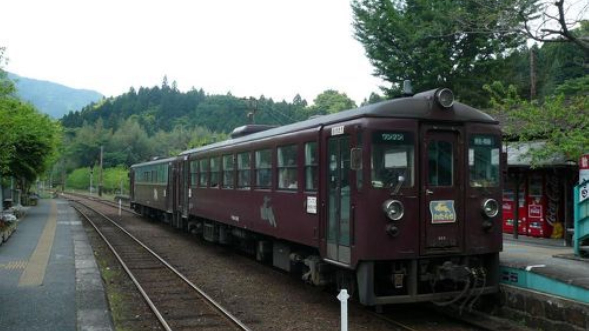 ☆わたらせ渓谷鉄道1日フリーパス券付（ご出発日乗車）プラン☆駐車場無料＆VOD無料