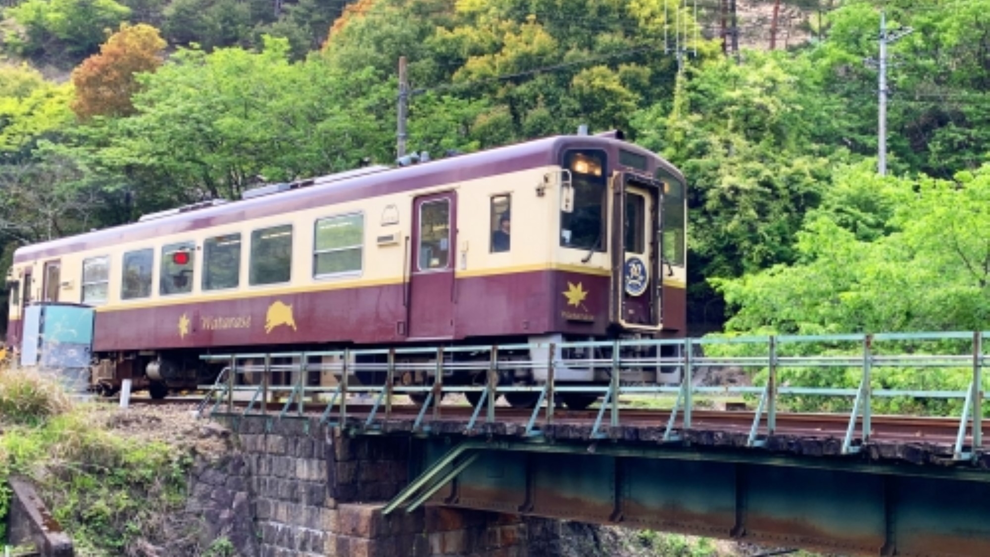 ☆わたらせ渓谷鉄道1日フリーパス券付（ご出発日乗車）プラン☆駐車場無料＆VOD無料