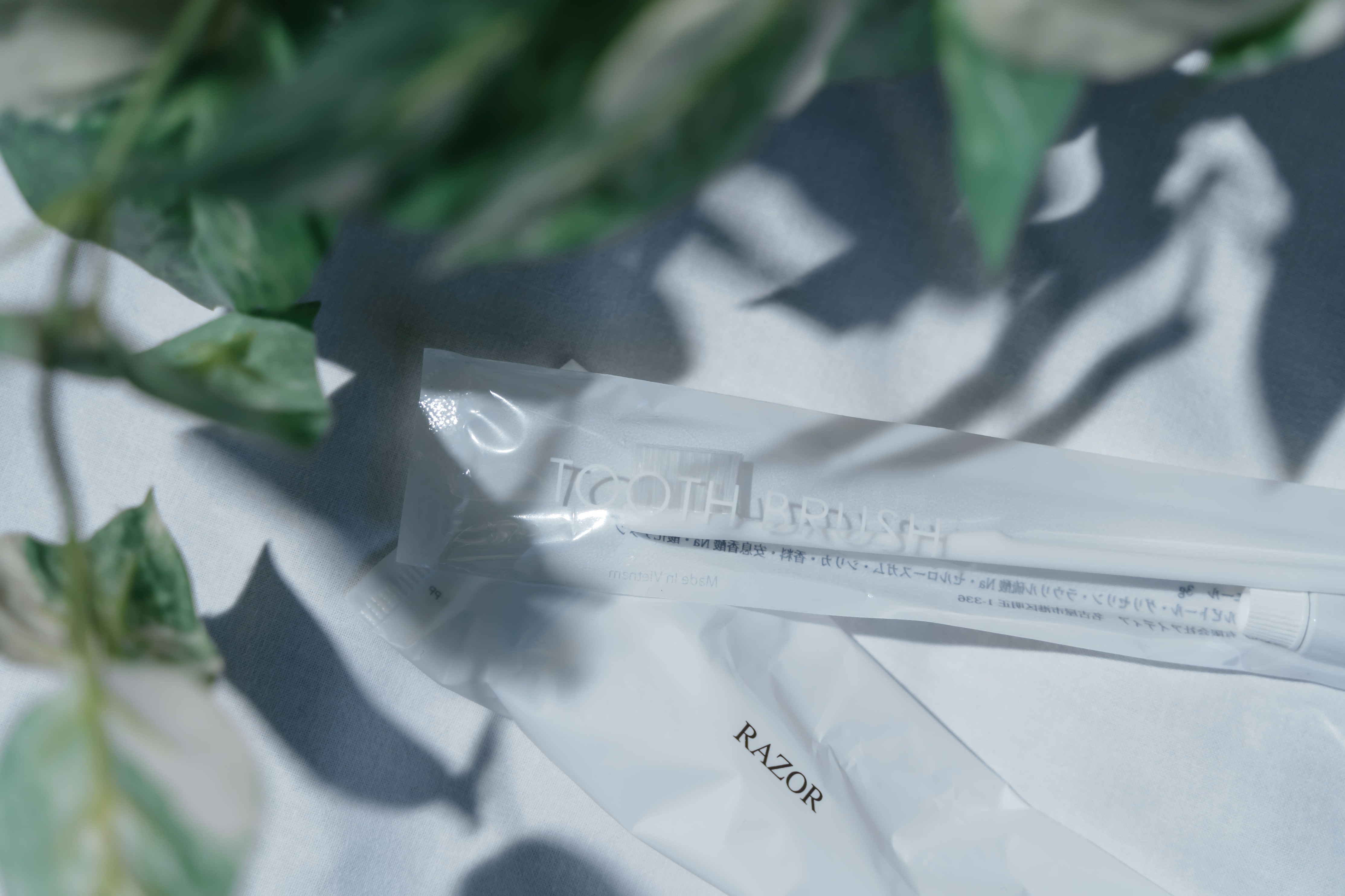 写真4