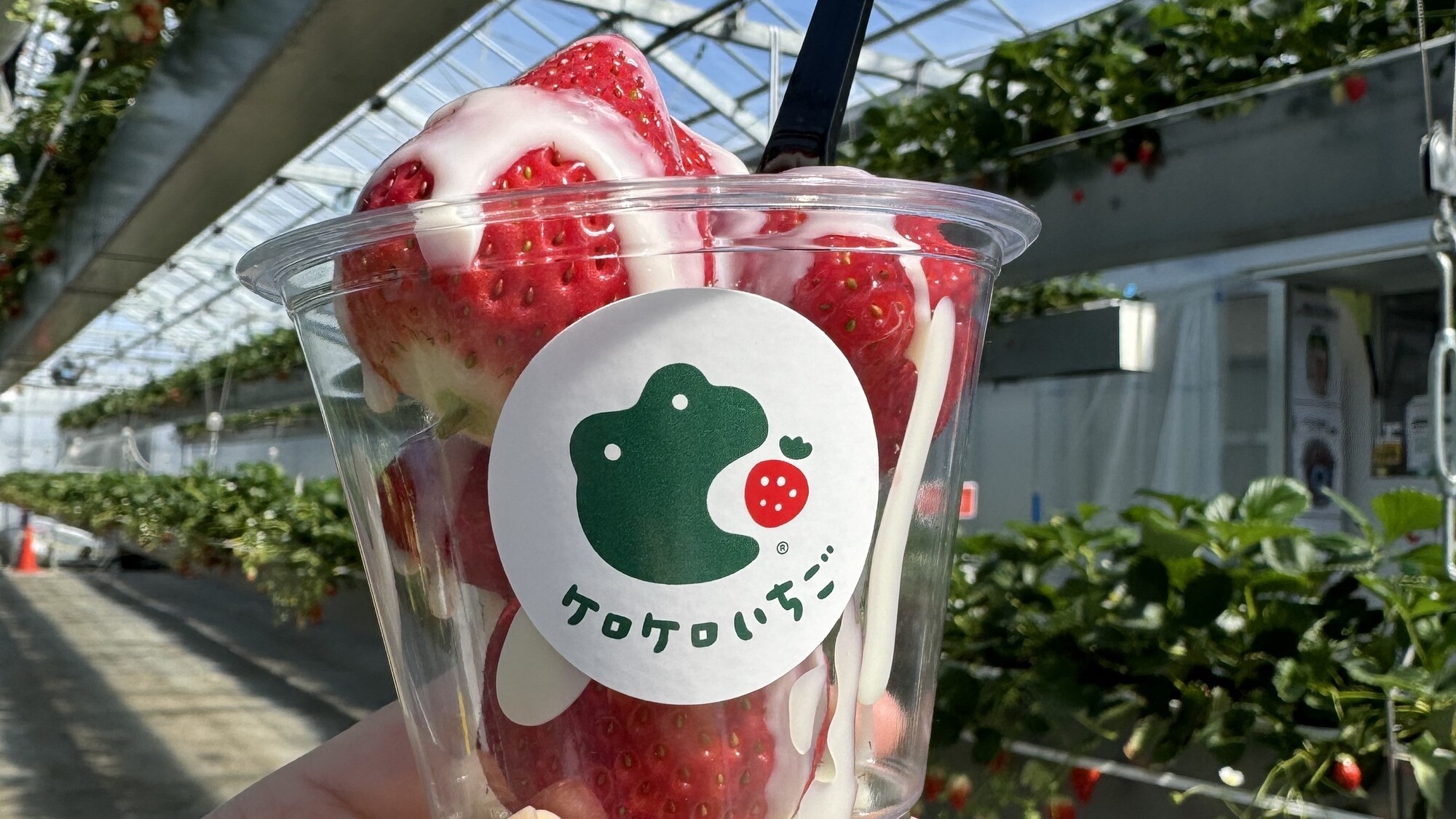 【いちご狩り体験】「ケロケロの杜」で30分食べ放題＆お土産カップ付＜夕朝食付＞