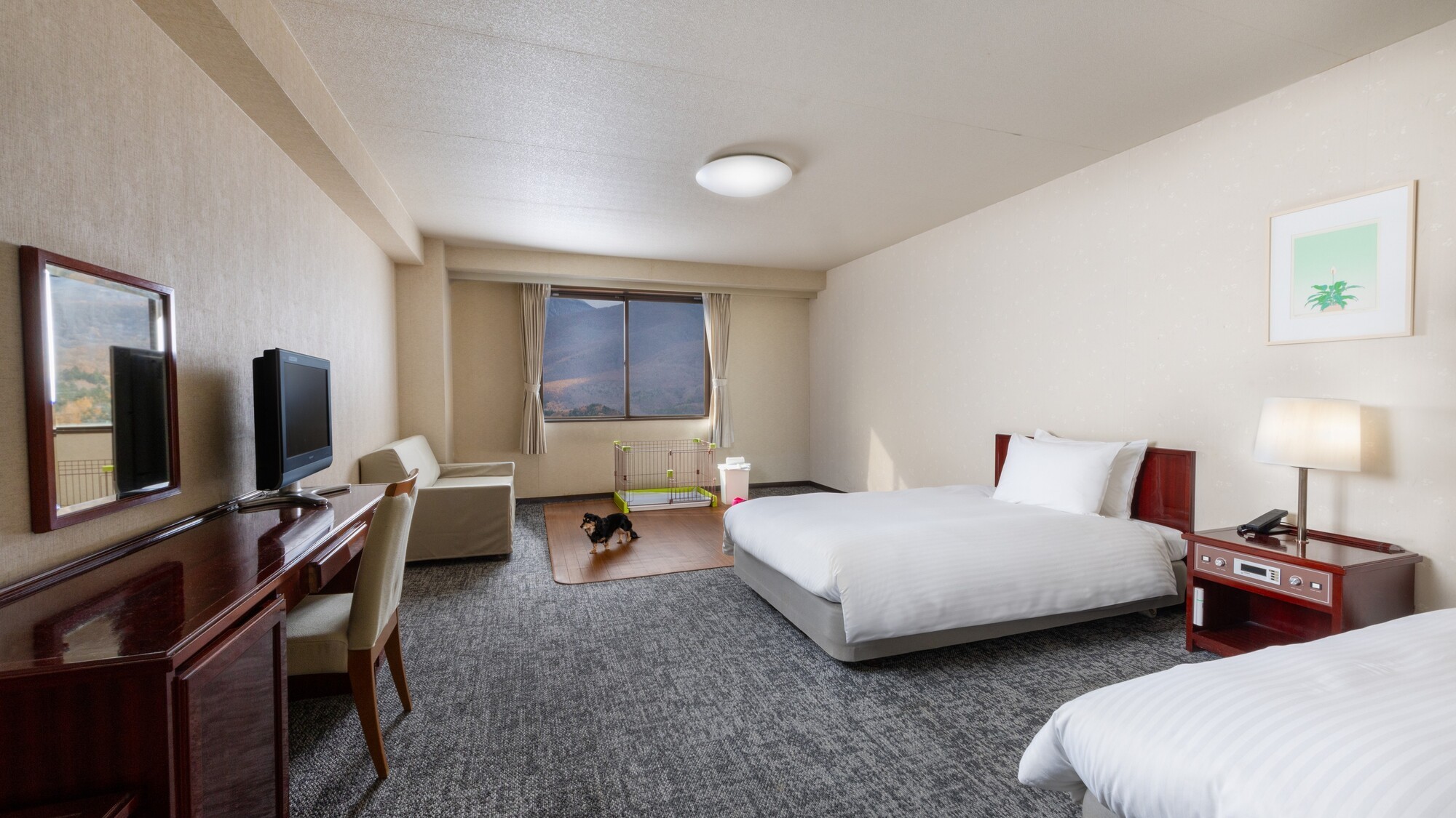 ドッグフレンドリーツイン