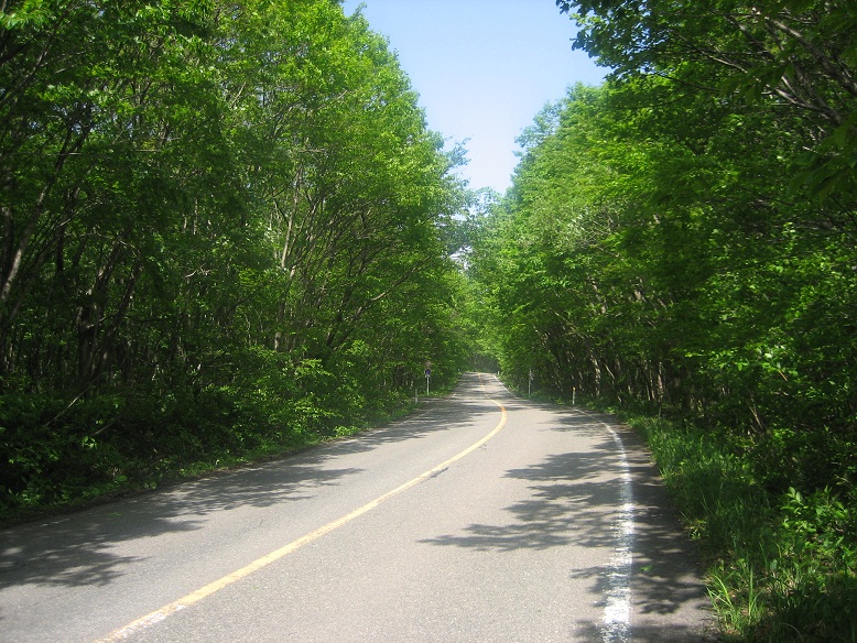 蔵王エコーライン