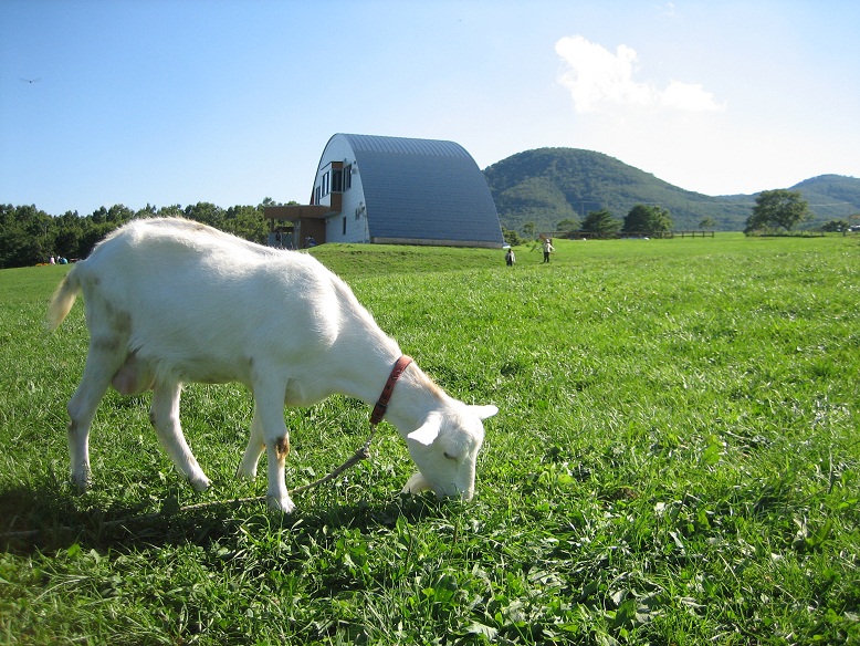 蔵王ハートランド