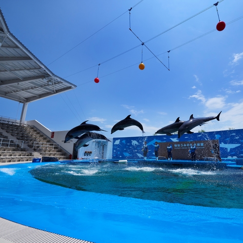 仙台うみの杜水族館　うみの杜スタジアム