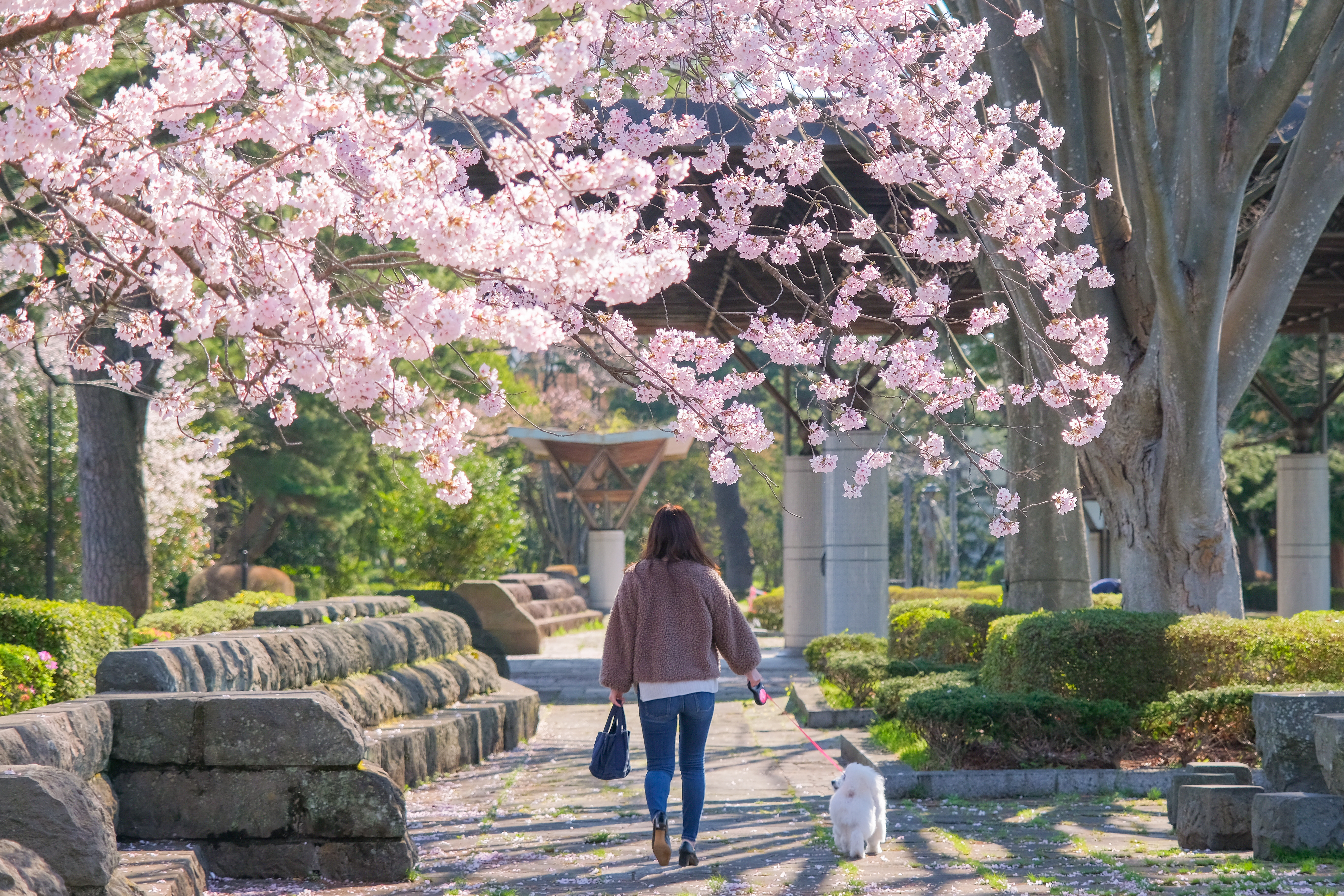 榴岡公園（仙台）仙台駅から徒歩約20分