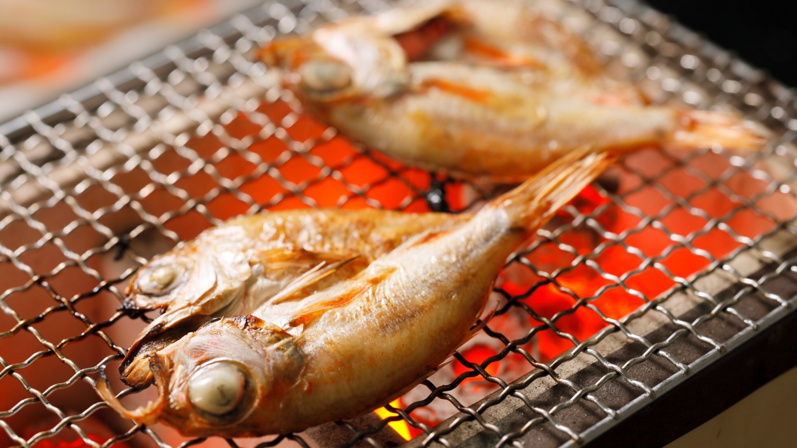 【ご連泊者様限定】ノークリーニングプラン　清掃なしでお得にステイ　朝食付