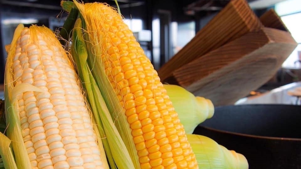 【当日限定】《絶景朝ごはん》スカイレストラン「ハレアス」の朝食ブッフェ付です！