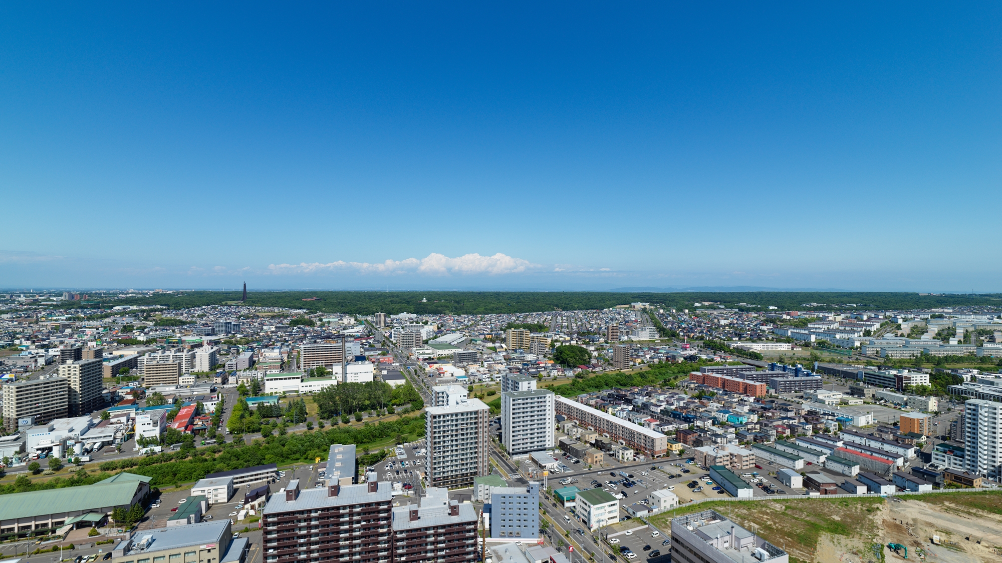 部屋から見える景色　 野幌国有林側