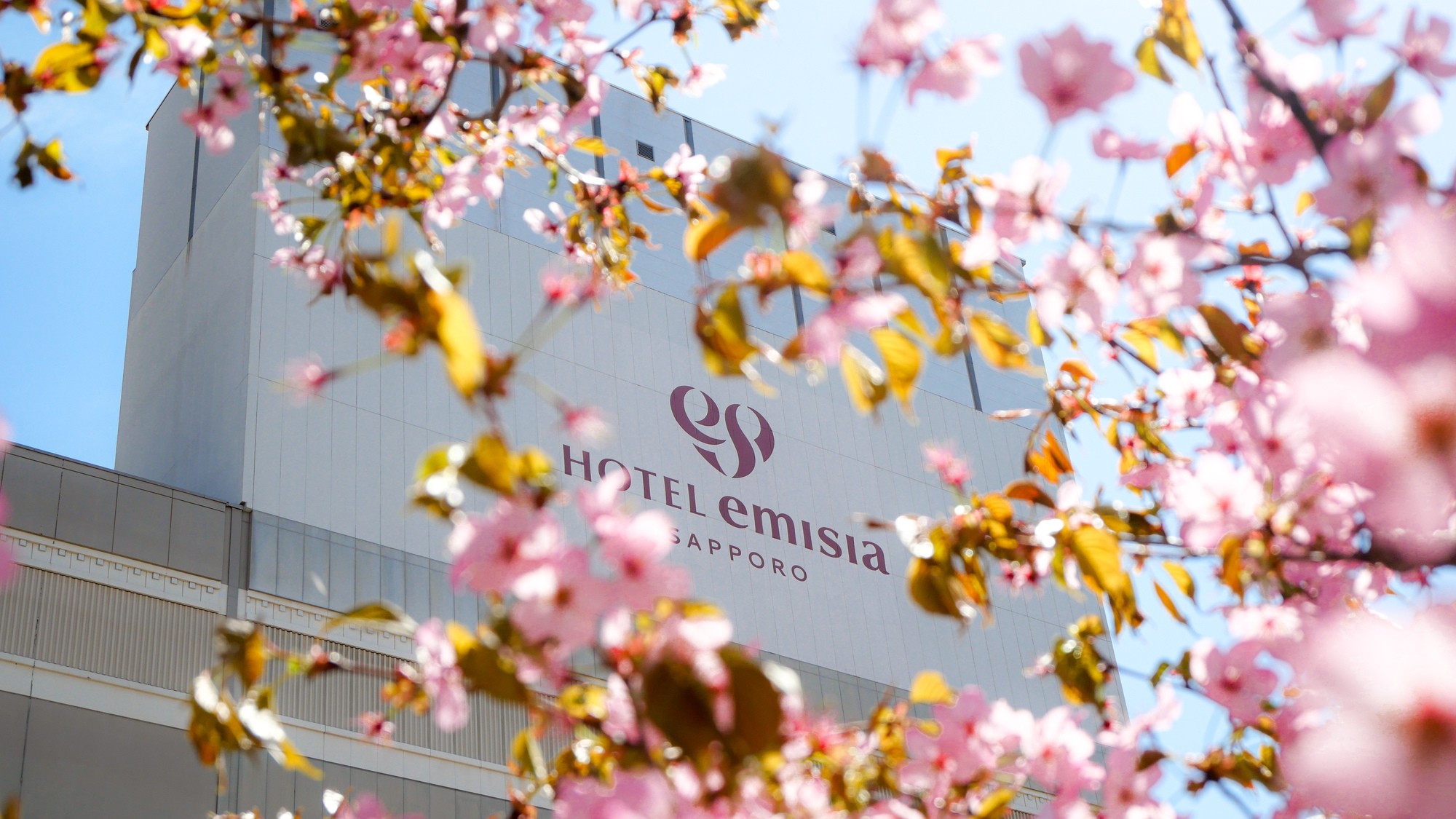 ホテルエミシア札幌の春