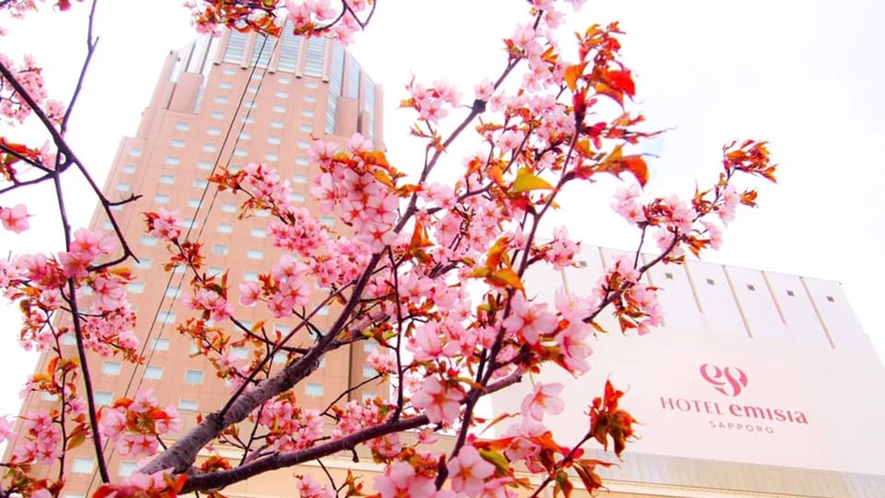 ホテルエミシア札幌の春