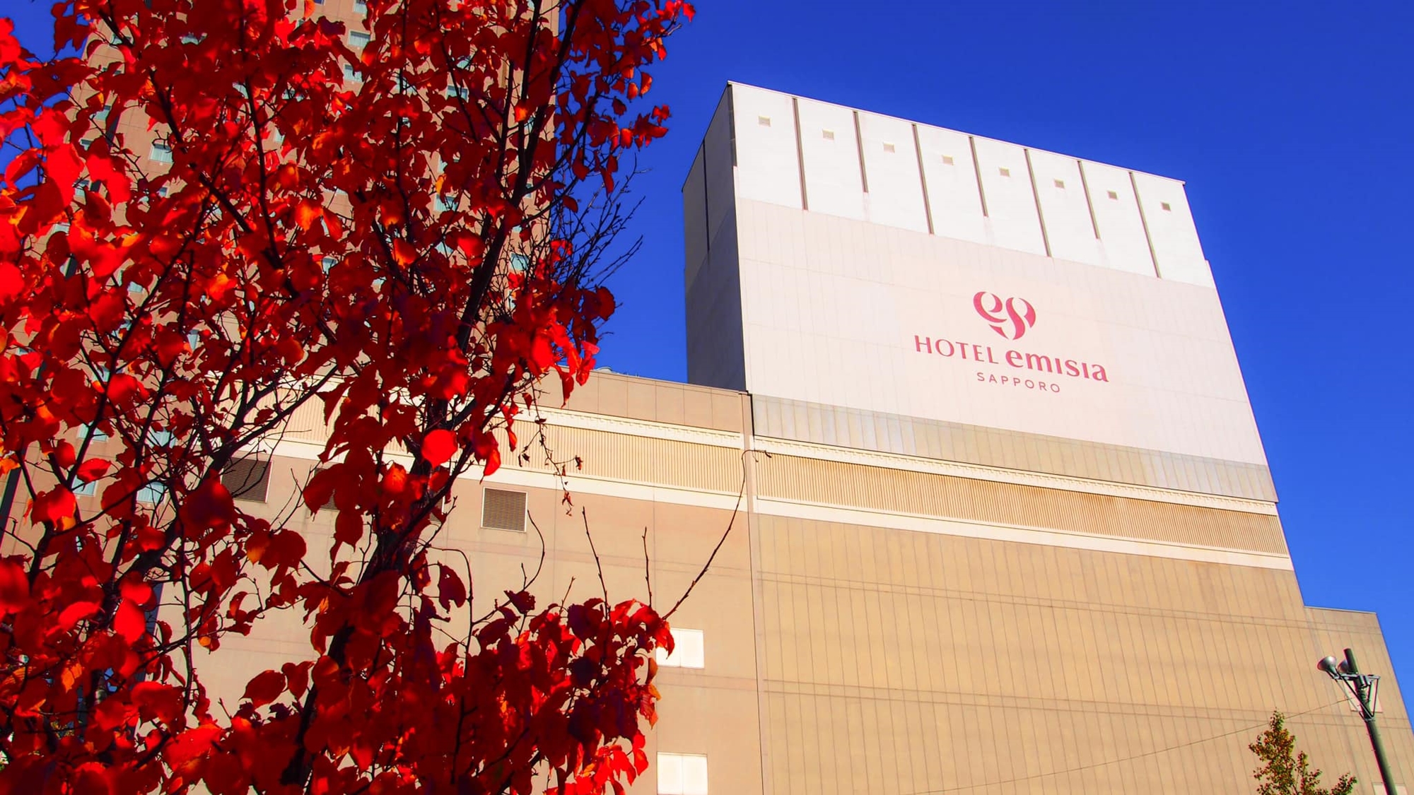 ホテルエミシア札幌の秋
