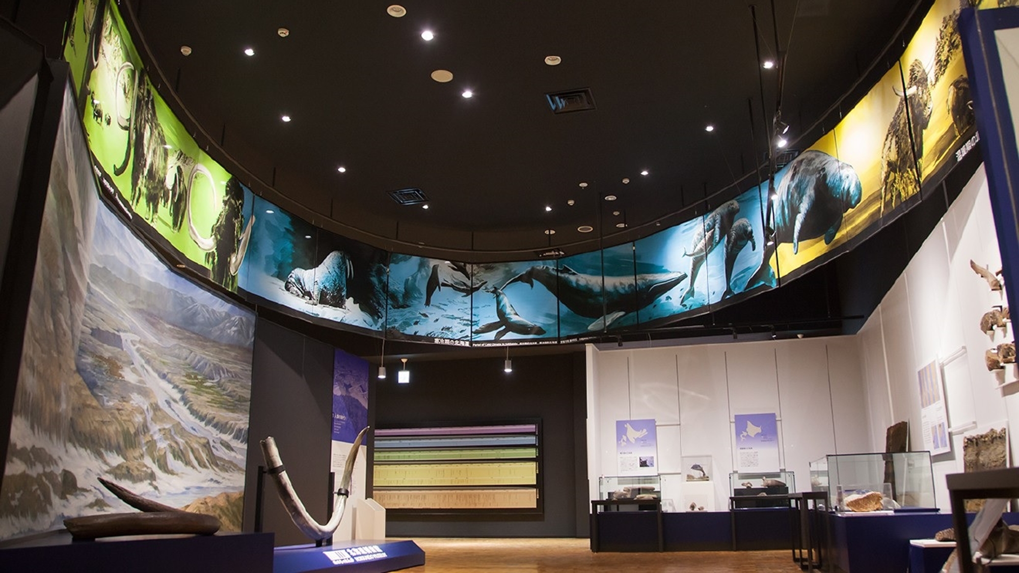 北海道博物館「第１テーマ　北海道１２０万年物語」