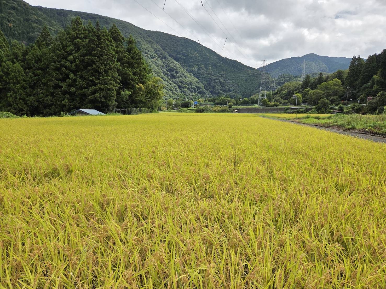サンホテル岐阜 - 写真 14