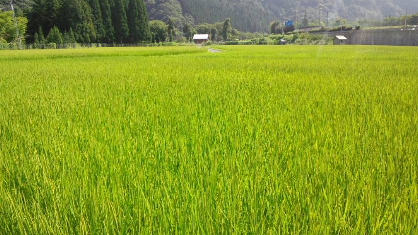 サンホテル岐阜 - 写真 13
