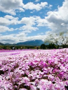 気軽な一人旅に☆自由気ままな素泊まりプラン♪