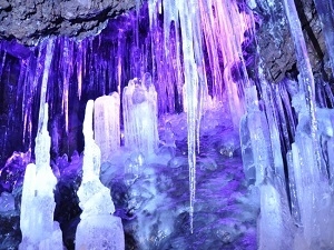 気軽な一人旅に☆のんびり創作和食を楽しむ♯夕食付プラン♪
