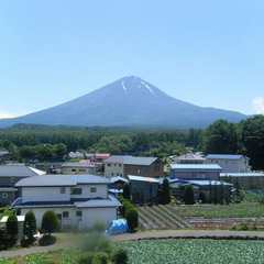 和室のお部屋からの景色