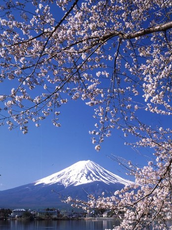 河口湖からの富士山_春