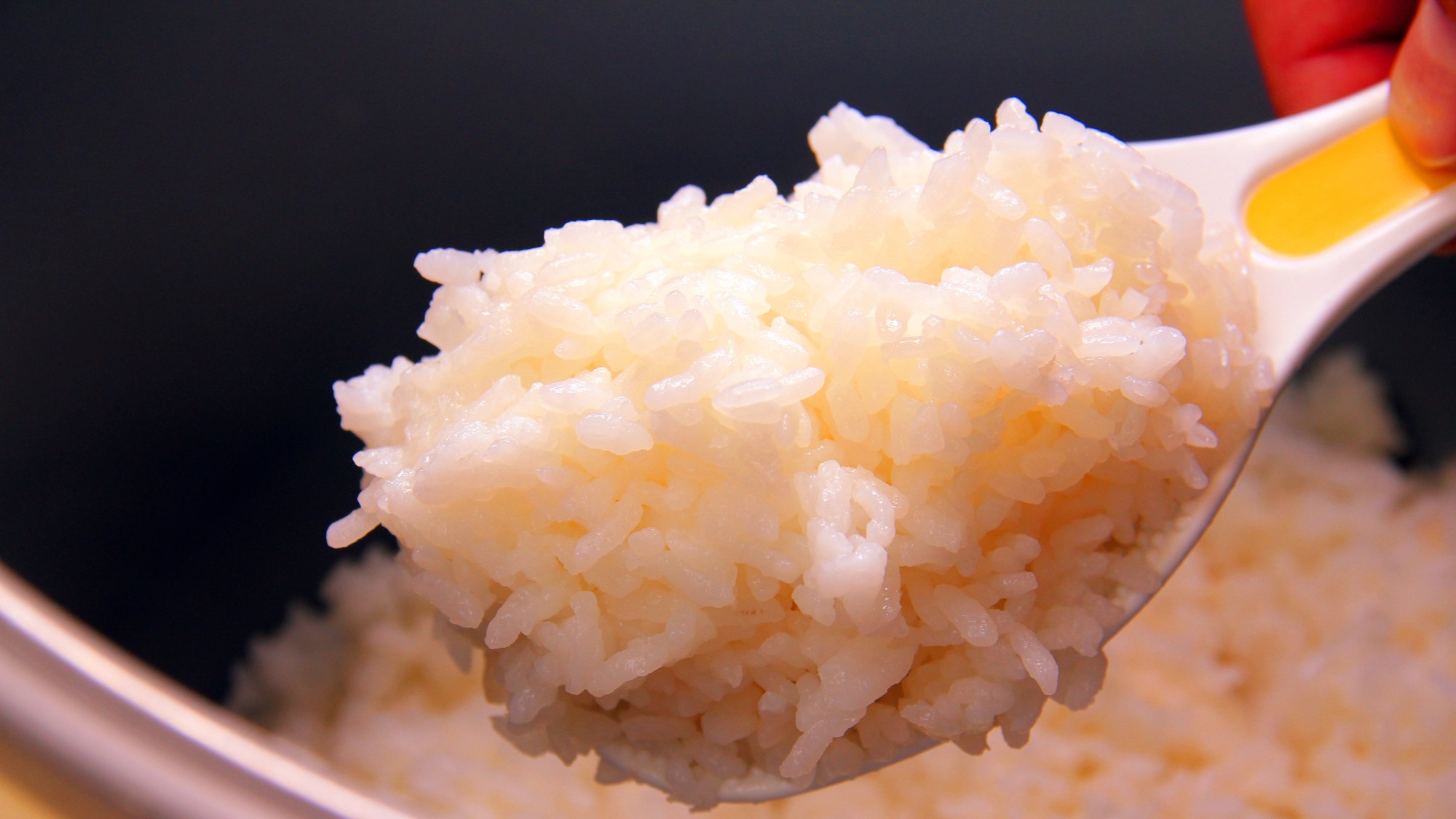 #お食事　お米は茨城県内の契約農家直送のコシヒカリ。