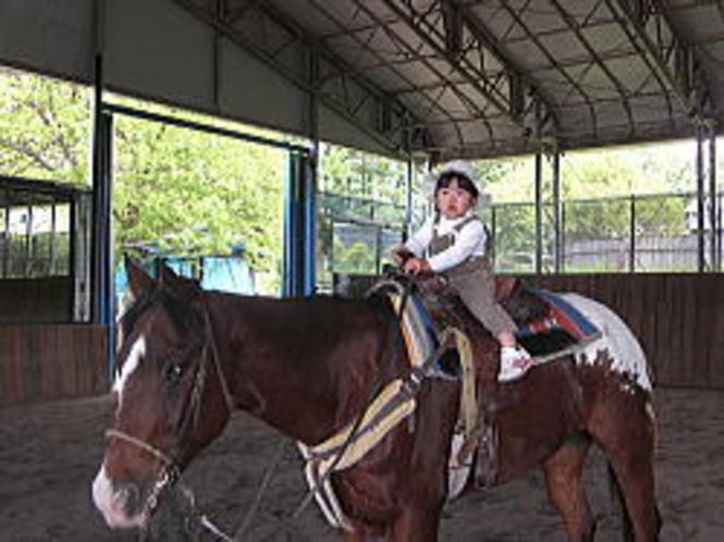 おチビちゃんには引き馬が喜ばれます