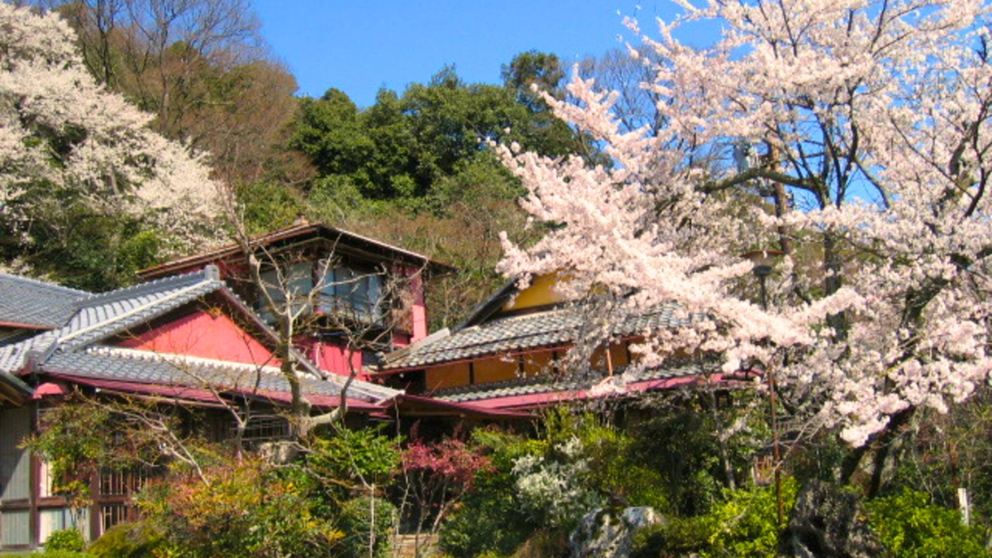花の息吹を感じる千歳楼の春景色